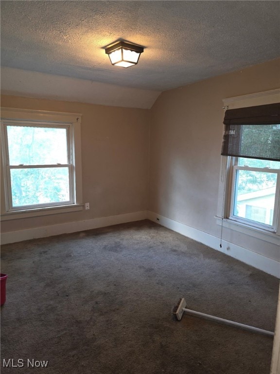 1119 W 11th St, Lorain, OH 44052 - carpeted empty room with healthy amount of natural light, a textured ceiling, baseboards, and vaulted ceiling