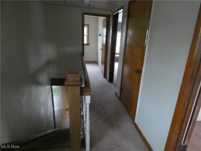 1020 Virginia St, Martins Ferry, OH 43935 - hallway featuring light carpet, an upstairs landing, and a drop ceiling