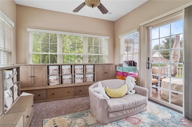 8550 Ivy Hill Dr Unit 16, Poland, OH 44514 - sitting room featuring plenty of natural light and a ceiling fan