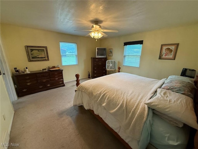 6920 Riverside Rd SE, Gnadenhutten, OH 44629 - carpeted bedroom with multiple windows, ceiling fan, and baseboards