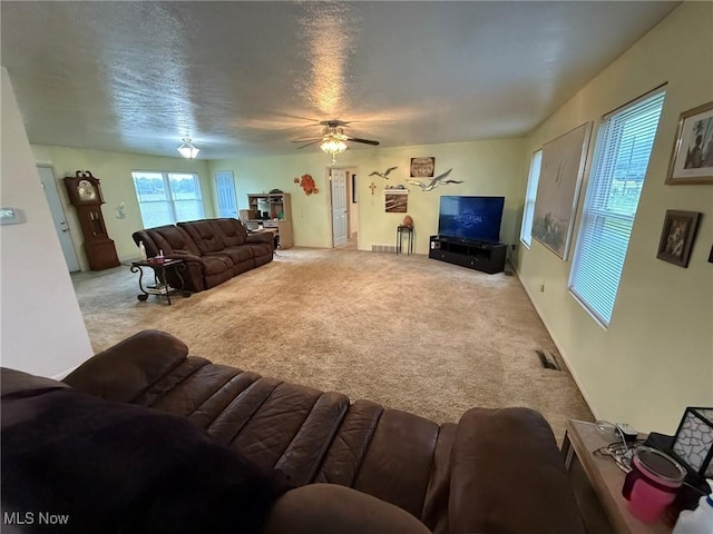 6920 Riverside Rd SE, Gnadenhutten, OH 44629 - carpeted living area with ceiling fan
