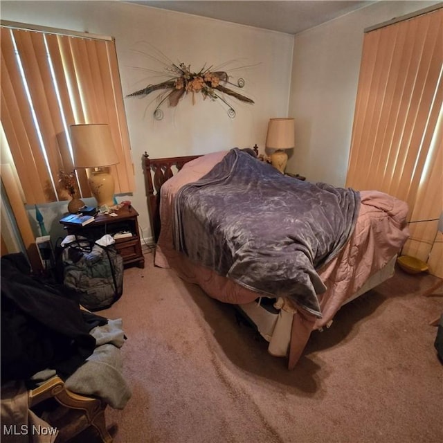 1669 Wood Rd, Cleveland Heights, OH 44121 - bedroom featuring carpet floors