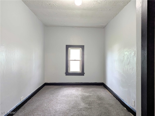 925 Camden Ave SW, Canton, OH 44706 - carpeted empty room with baseboards and a textured ceiling