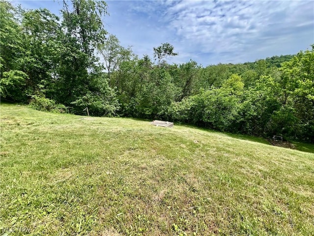 281 Hillcrest Dr, Wellsburg, WV 26070 - view of green lawn