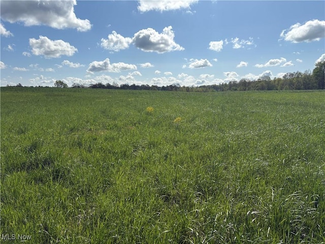 Brosius Rd, Garrettsville, OH 44231 - photo 1