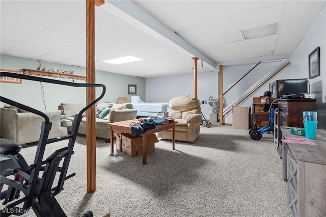 4948 State Route 61, Mount Gilead, OH 43338 - exercise area with a paneled ceiling and carpet flooring