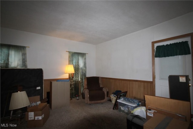 14201 Kauffman Ave, Sterling, OH 44276 - carpeted living area with a wainscoted wall and wood walls