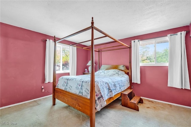 6221 Brighton Dr, North Olmsted, OH 44070 - bedroom with multiple windows, carpet floors, and baseboards