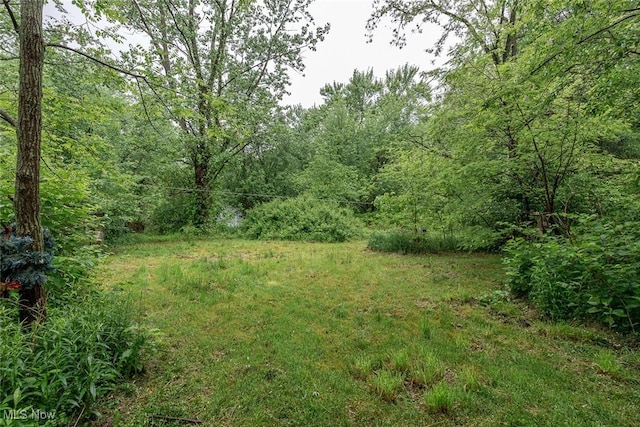 8706 Stearns Rd, Oh, OH 44138 - photo 3