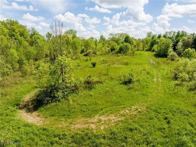 12793 New London Eastern Rd, Spencer, OH 44275 - view of local wilderness