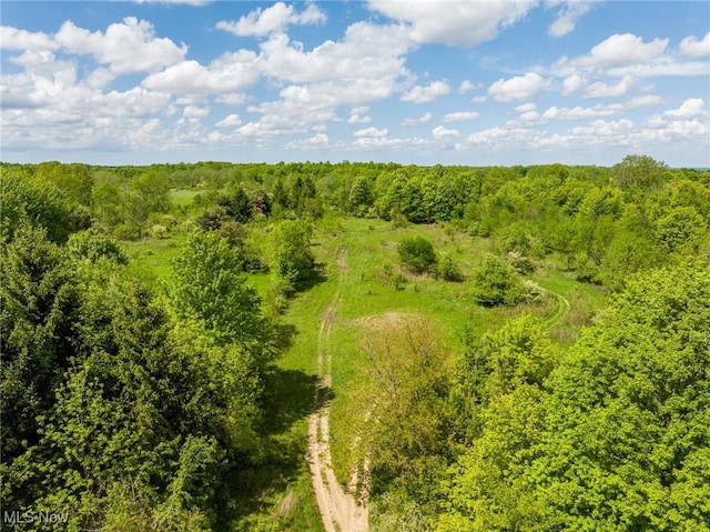 12793 New London Eastern Rd, Spencer, OH 44275 - bird's eye view of a heavily wooded area