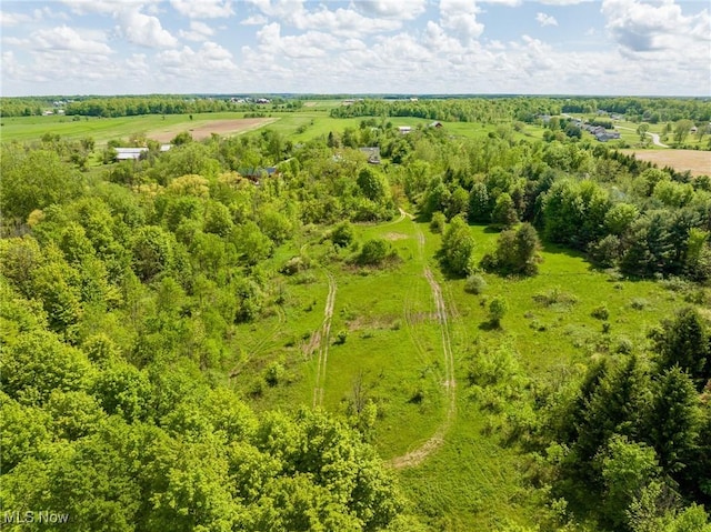12793 New London Eastern Rd, Spencer, OH 44275 - overview of rural landscape
