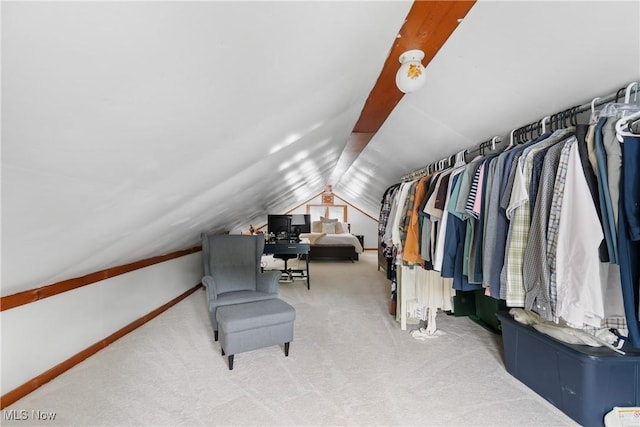 794 Ranney St, Akron, OH 44310 - walk in closet featuring vaulted ceiling and carpet flooring