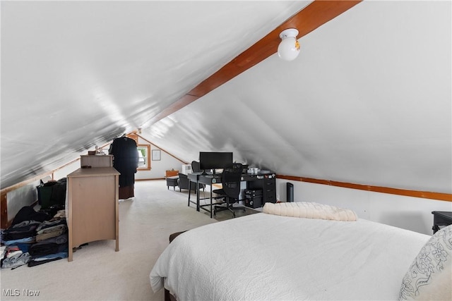 794 Ranney St, Akron, OH 44310 - carpeted bedroom with lofted ceiling and an office area