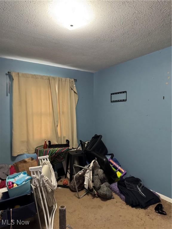 1009 Bogart Rd, Huron, OH 44839 - carpeted bedroom with a textured ceiling