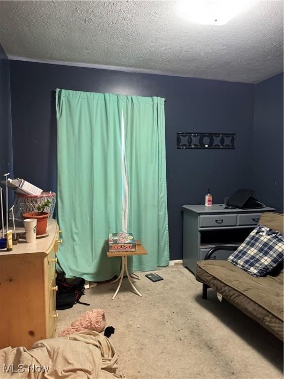 1009 Bogart Rd, Huron, OH 44839 - carpeted bedroom featuring a textured ceiling