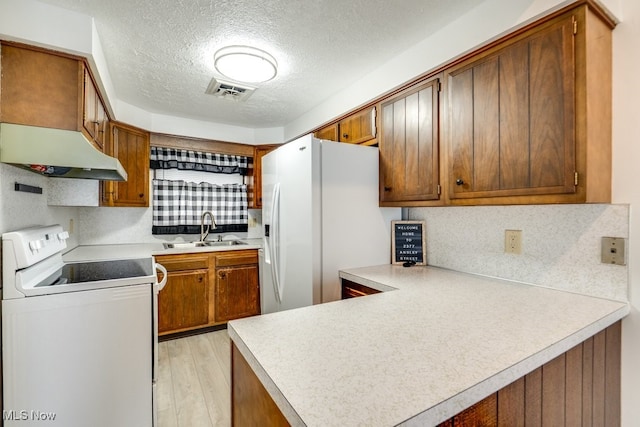 2377 Ansley St, Alliance, OH 44601 - kitchen with white appliances, a sink, under cabinet range hood, a peninsula, and light wood-style flooring