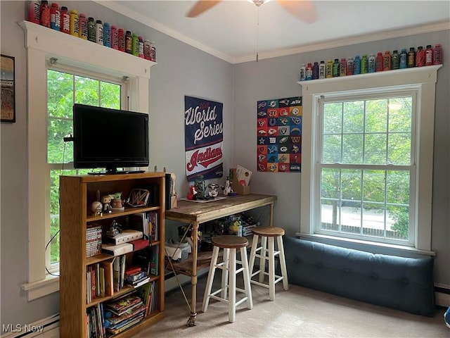 10508 Lake Shore Blvd, Bratenahl, OH 44108 - photo 29