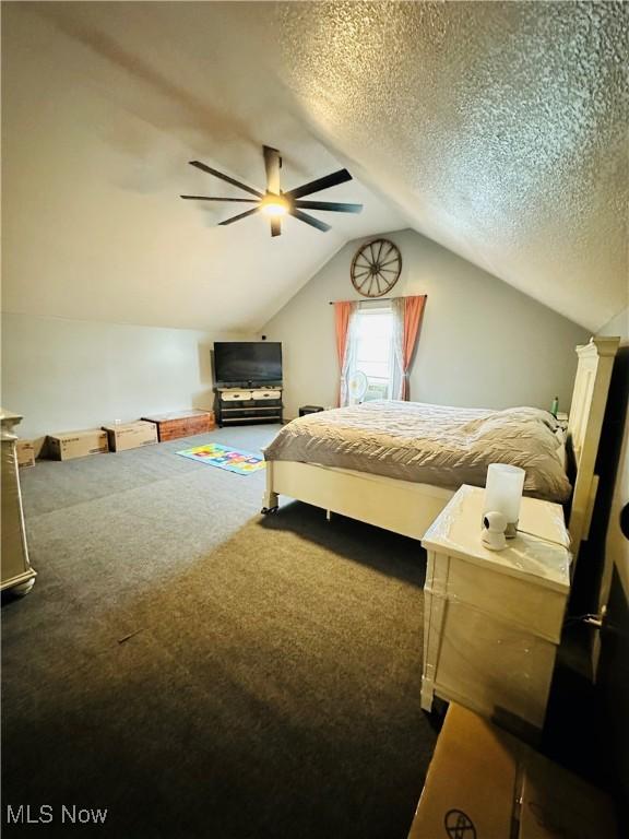 418 Main St, Philo, OH 43771 - carpeted bedroom with lofted ceiling, a ceiling fan, and a textured ceiling