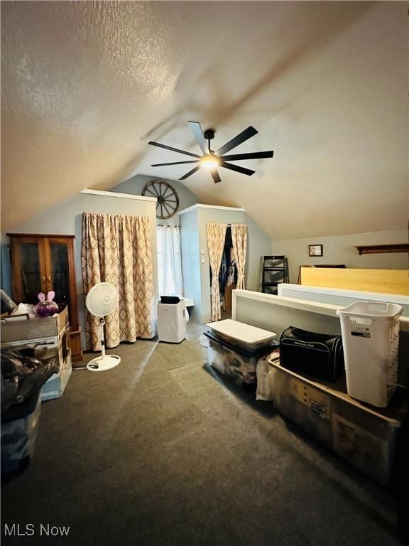 418 Main St, Philo, OH 43771 - carpeted bedroom with lofted ceiling and ceiling fan