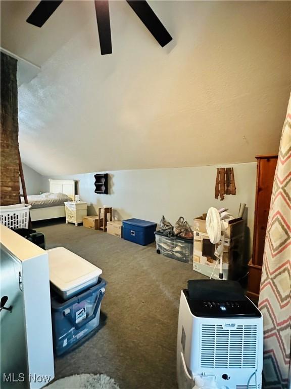 418 Main St, Philo, OH 43771 - bonus room with carpet floors, vaulted ceiling, and ceiling fan