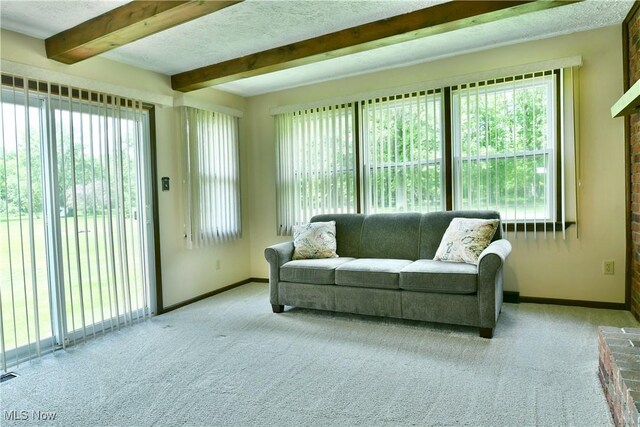6509 Shafer Rd NW, Warren, OH 44481 - photo 25