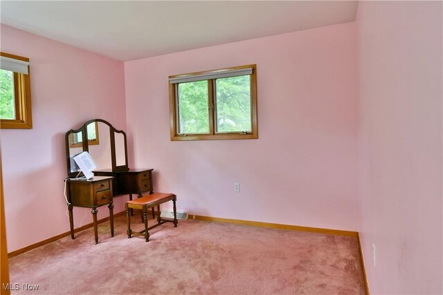 6509 Shafer Rd NW, Warren, OH 44481 - photo 34