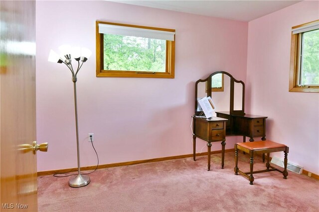 6509 Shafer Rd NW, Warren, OH 44481 - photo 35