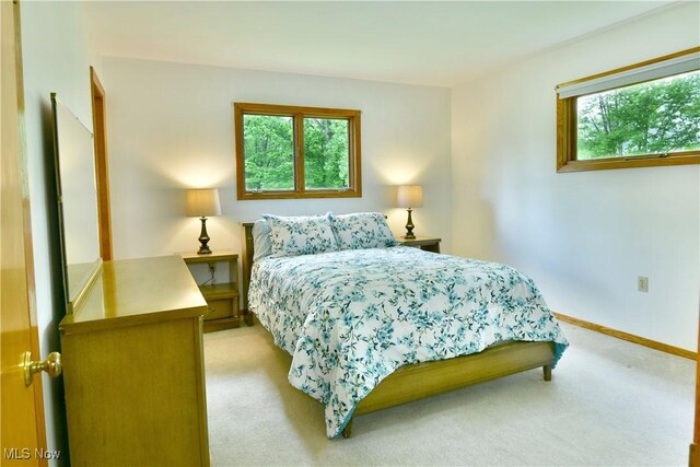 6509 Shafer Rd NW, Warren, OH 44481 - photo 37