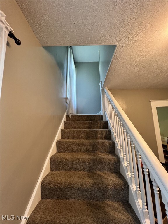 365 Lucca St, Wooster, OH 44691 - photo 5