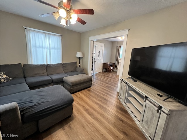 365 Lucca St, Wooster, OH 44691 - photo 9