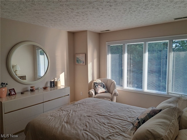 629 Main St, Vermilion, OH 44089 - bedroom with multiple windows and a textured ceiling