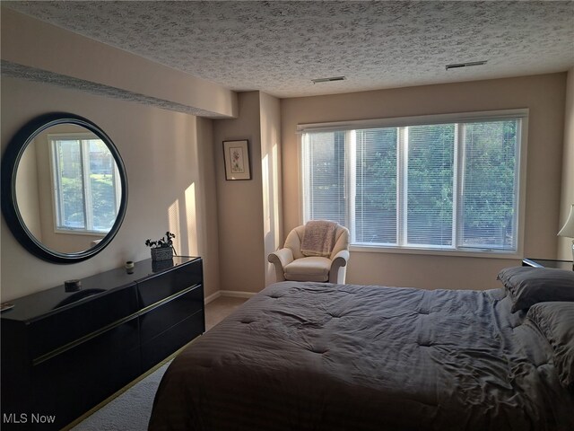 629 Main St, Vermilion, OH 44089 - carpeted bedroom featuring a textured ceiling and baseboards