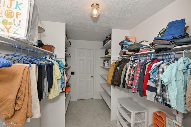 12115 Fowlers Mill Rd, Chardon, OH 44024 - walk in closet featuring light colored carpet