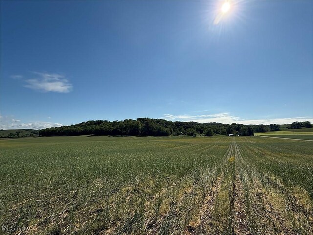 Township Road 154, West Lafayette, OH 43845 - photo 11