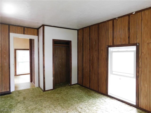 192 Walnut St, Geneva, OH 44041 - unfurnished bedroom with light colored carpet and wood walls