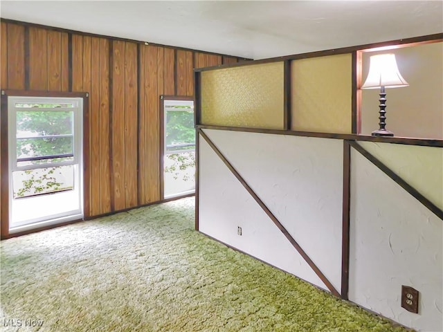 192 Walnut St, Geneva, OH 44041 - spare room with light colored carpet, plenty of natural light, and wood walls