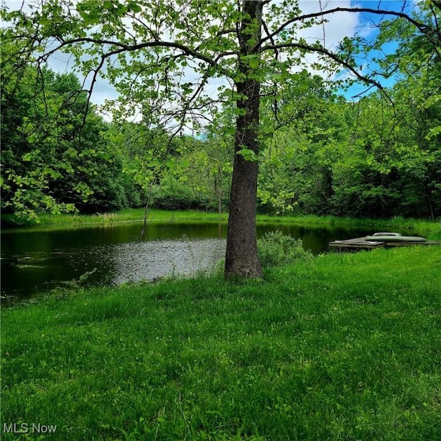 13423 Price St NE, Alliance, OH 44601 - water view featuring a heavily wooded area
