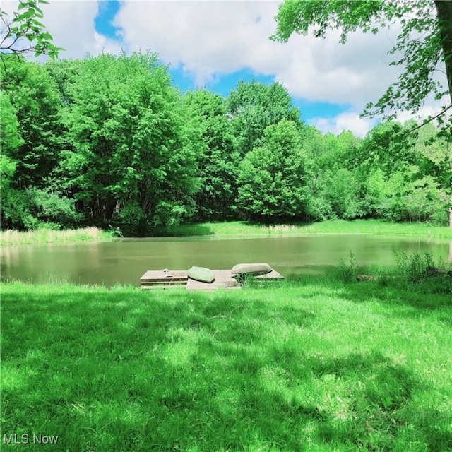 13423 Price St NE, Alliance, OH 44601 - view of yard featuring a water view and a wooded view