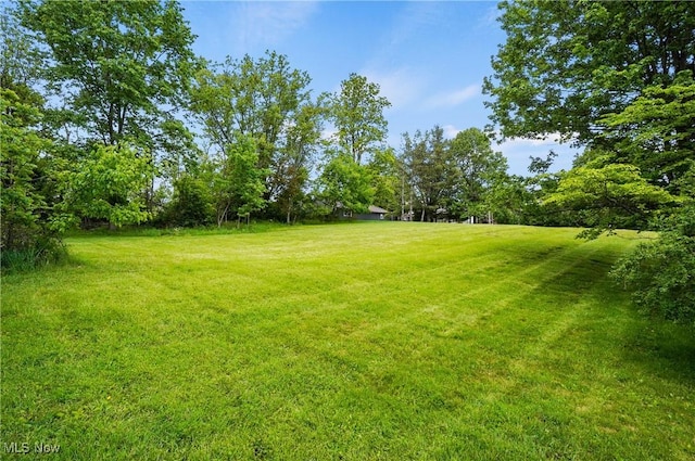 22010 Mountz Rd, Minerva, OH 44657 - view of green lawn