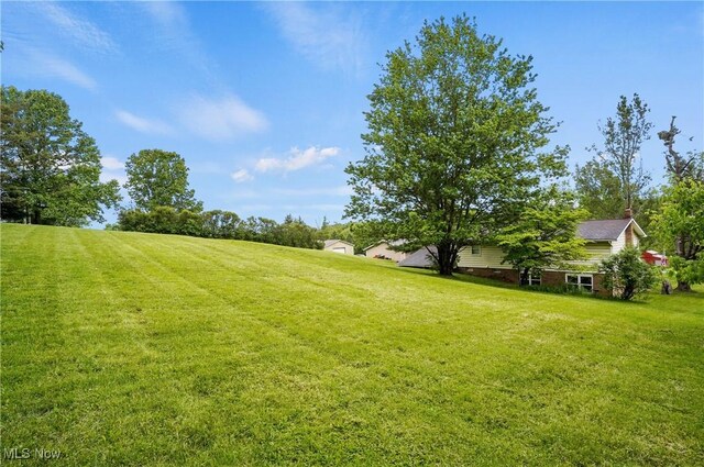 22010 Mountz Rd, Minerva, OH 44657 - view of green lawn