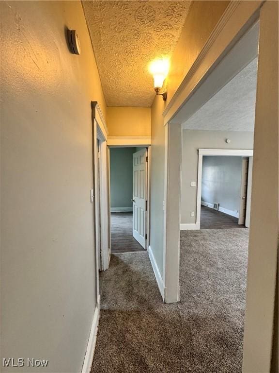 483 E 128th St, Cleveland, OH 44108 - hallway with carpet, a textured ceiling, and baseboards