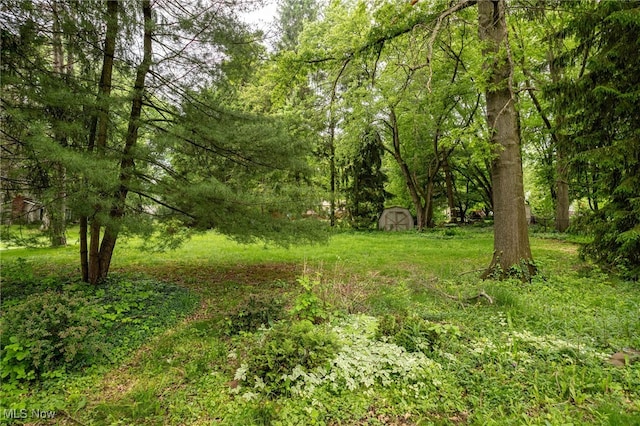 1580 S Hametown Rd, Copley, OH 44321 - view of woods