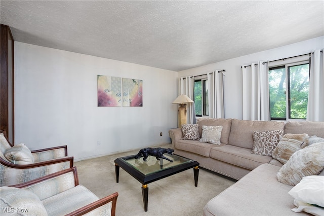 1580 S Hametown Rd, Copley, OH 44321 - carpeted living area featuring plenty of natural light and a textured ceiling