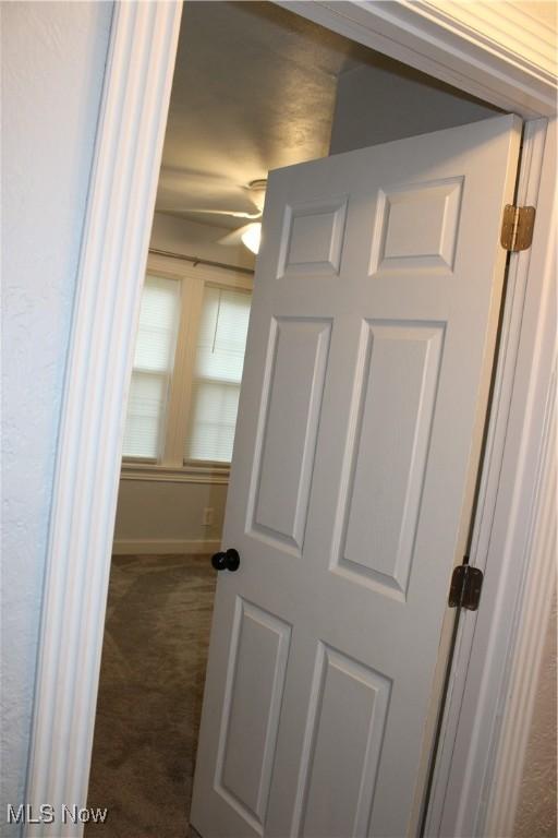 504 Williams Ave, East Liverpool, OH 43920 - detailed view of carpet flooring, a ceiling fan, and baseboards