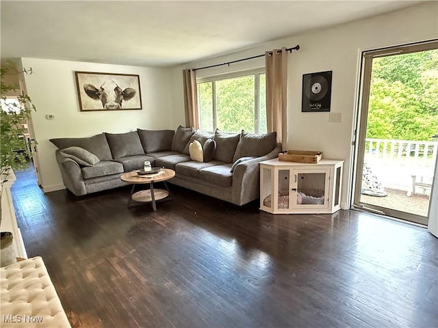250 Crystal Ln, Weirton, WV 26062 - living area featuring dark wood-style floors