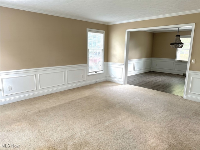 2761 Timberline Dr, Cortland, OH 44410 - spare room featuring carpet floors, wainscoting, ornamental molding, and a textured ceiling