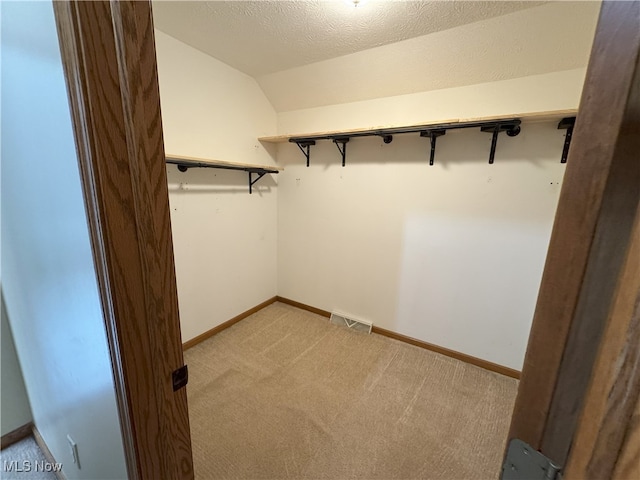 2761 Timberline Dr, Cortland, OH 44410 - spacious closet featuring light carpet and vaulted ceiling