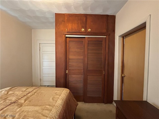 333 Heaslett Ave, Weirton, WV 26062 - bedroom with a closet and carpet flooring