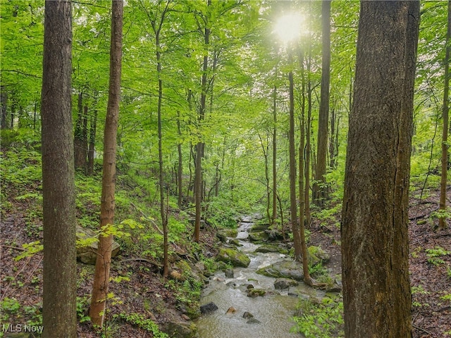 5360 Som Center Rd, Solon, OH 44139 - view of wooded area
